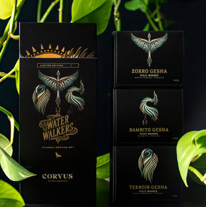 PREORDER Water Walkers Set