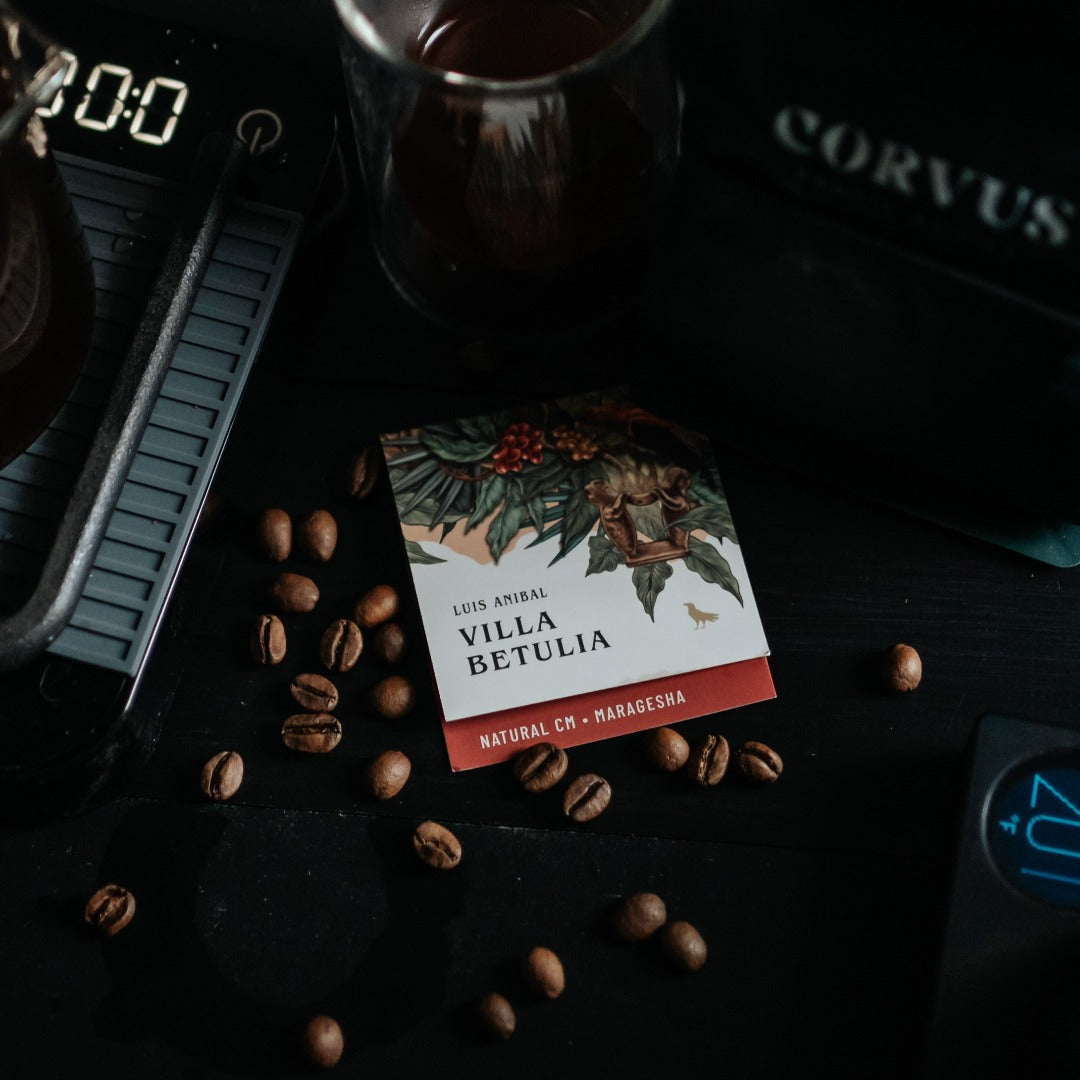 Explore Rare Colombian Coffees from the Luis Anibal!